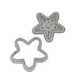 334.jpg see-star cookie cutter / Clay Cutter and stamp