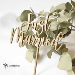 cake-topper-para-publicar-13.png Cake Topper Just Married Wedding- for Weddings