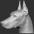 1.jpg Dobermann head for 3D printing