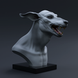 caninesculptedit1.png Canine Sculpt