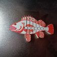 flexi-rock-fish-3.jpg FLEXI ROCKFISH