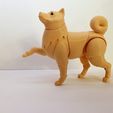 1645777468557.jpg Shiba inu BJD