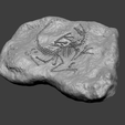 vc2.png Velociraptor Complete Mineral Fossile - Realistic Printable Resin
