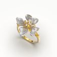 123123123-10.jpg Flower ring 3D print model
