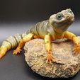 Leopard Gecko Articulated Toy, Print-In-Place Body, Snap-Fit Head, Cute Flexi