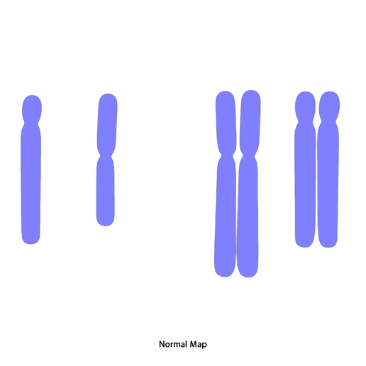 Diploid_vs_Haploid_NM.png Diploïde vs Haploïde