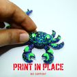 cangrejo3.jpg blue crab printinplace