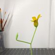 PXL_20230526_033246634.jpg Angry Flower (TikTok)