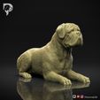 Bullmastiff-Pose-07-Dog-3D-Print-1s.jpeg Bullmastiff Dog 3D Print Model Pose 07