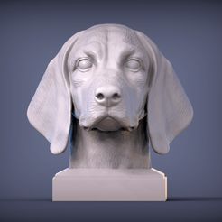 beagle1.jpg Beagle 3D print model
