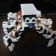 f3a31481-d971-47ba-adc3-1c61d65990fe.jpg Hexapod robot, moving along a random route