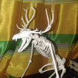 Capture d’écran 2017-03-28 à 15.08.49.png Free STL file Unknown Creatures N° 1 - Wendigo Skeleton・3D print design to download