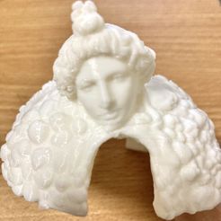E200CE03-E071-43B9-851E-61A0DFF3E12F.jpeg Aquarium - Rock goddess figurine