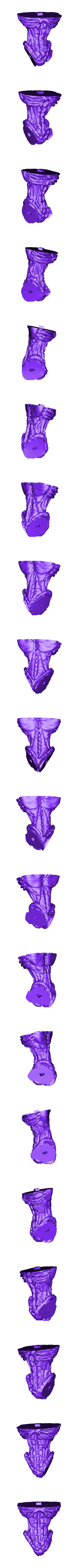Torso.stl Raziel - soul reaver for 3D print.