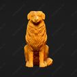 529-Australian_Shepherd_Dog_Pose_04.jpg Australian Shepherd Dog 3D Print Model Pose 04