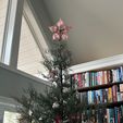 IMG_5209.jpg Star Christmas Tree Topper
