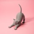 3D-tails-funny-stretching-cat-obj-4.jpg Stretching cat