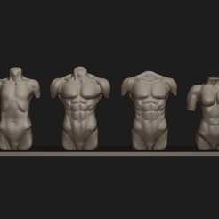 1.png Archivo STL Tipos de torso humano・Plan de impresión en 3D para descargar