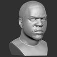 11.jpg Ice Cube bust 3D printing ready stl obj formats