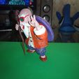 IMG_20200301_122243_7.jpg Maître Roshi Dragon Ball Z