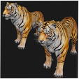 portadaT9.png TIGER DOWNLOAD Bengal TIGER 3d model animated for blender-fbx-unity-maya-unreal-c4d-3ds max - 3D printing TIGER CAT CAT