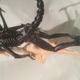 07.jpg Ripley’s Pet- by SPARX