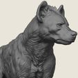 Wild-Hyena-06.jpg Wild Hyena Print Ready 3D Model