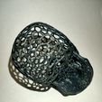 IMG20201203222922.jpg Voronoi Skull 3D print model
