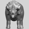 17_TDA0759_Triceratops_01A09.png Triceratops 01