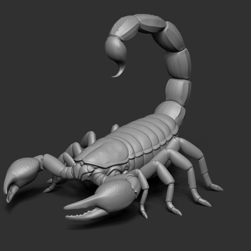 09.png Scorpion