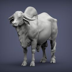 Gyr-Bull2.jpg Gyr Bull 3D print model