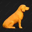 1254-Beagle_Pose_04.jpg Beagle Dog 3D Print Model Pose 04