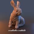rr2.jpg Realistic Lifesize Rabbit