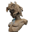 26.748.png Leeloo Bust 3D Print
