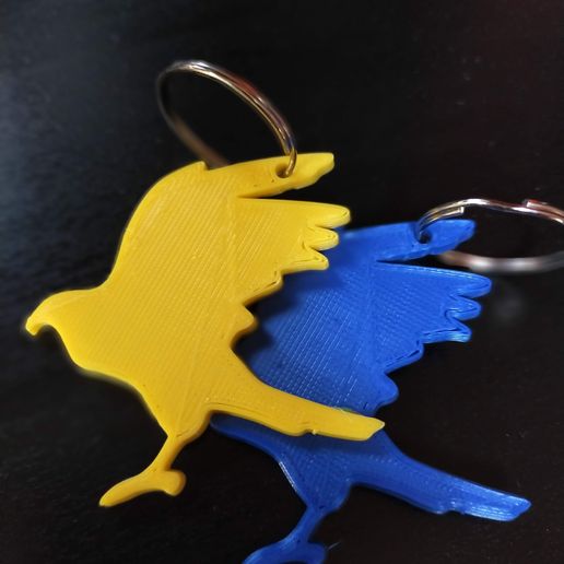 IMG20210620093400.jpg Porta Chiavi , keychain eagle