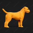 2230-Border_Terrier_Pose_03.jpg Border Terrier Dog 3D Print Model Pose 03