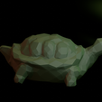 green-turtle.png Low Poly Turtle