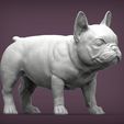 french-bulldog-puppy3.jpg french bulldog puppy 3D print model