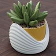 5.jpg Modern planter