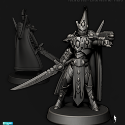Tech_Elves_Elites_EliteWarriorHero.png Tech Elves - Elite Warrior Hero