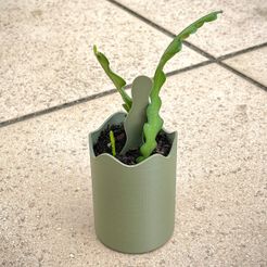 zigzag-holder-by-loiseaucreatif-Cults.jpg Archivo STL gratis jardinera de cactus en zigzag・Plan de impresión en 3D para descargar