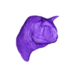 cabeza_carno.stl Carnotaurus sastrei