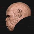 15.jpg King Monkey Mask - Kingdom of The Planet of The Apes
