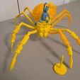 5.jpg Grounded 2- Max and Orb weaver Spider