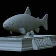 Trout-statue-22.png fish rainbow trout / Oncorhynchus mykiss statue detailed texture for 3d printing