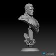 7.jpg Superman Bust - Alex Ross 3D print model