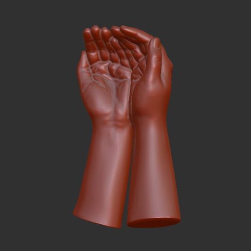 hands_carry_4.jpg human hands carry