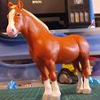 20241107_223043.jpg Horse model