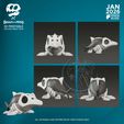 Ichtyosaurus-2.jpg.jpeg Ictiossauro Besta óssea Ficheiro de impressora 3D STL