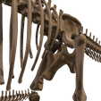 18.png Argentinosaurus : Esqueleto completo